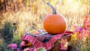 fall colours featuring pumpkin fall grasses