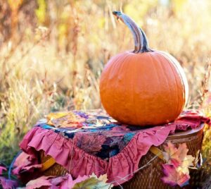 fall colours featuring pumpkin fall grasses